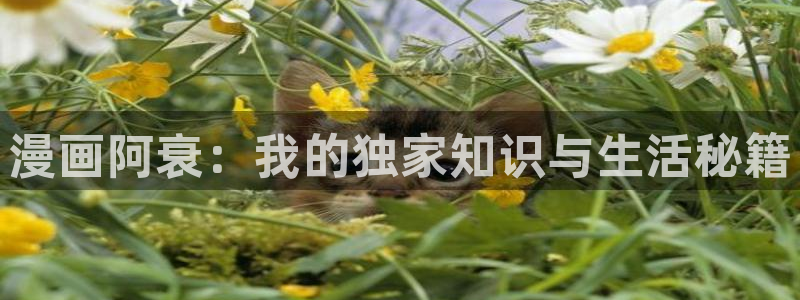 喵趣漫画网站入口：漫画阿衰：我的独家知识与生活秘籍