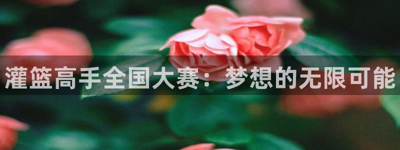喵趣漫画a：灌篮高手全国大赛：梦想的无限可能